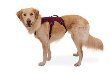 Ruffwear Web Master Harness Purple Rain Gr. M